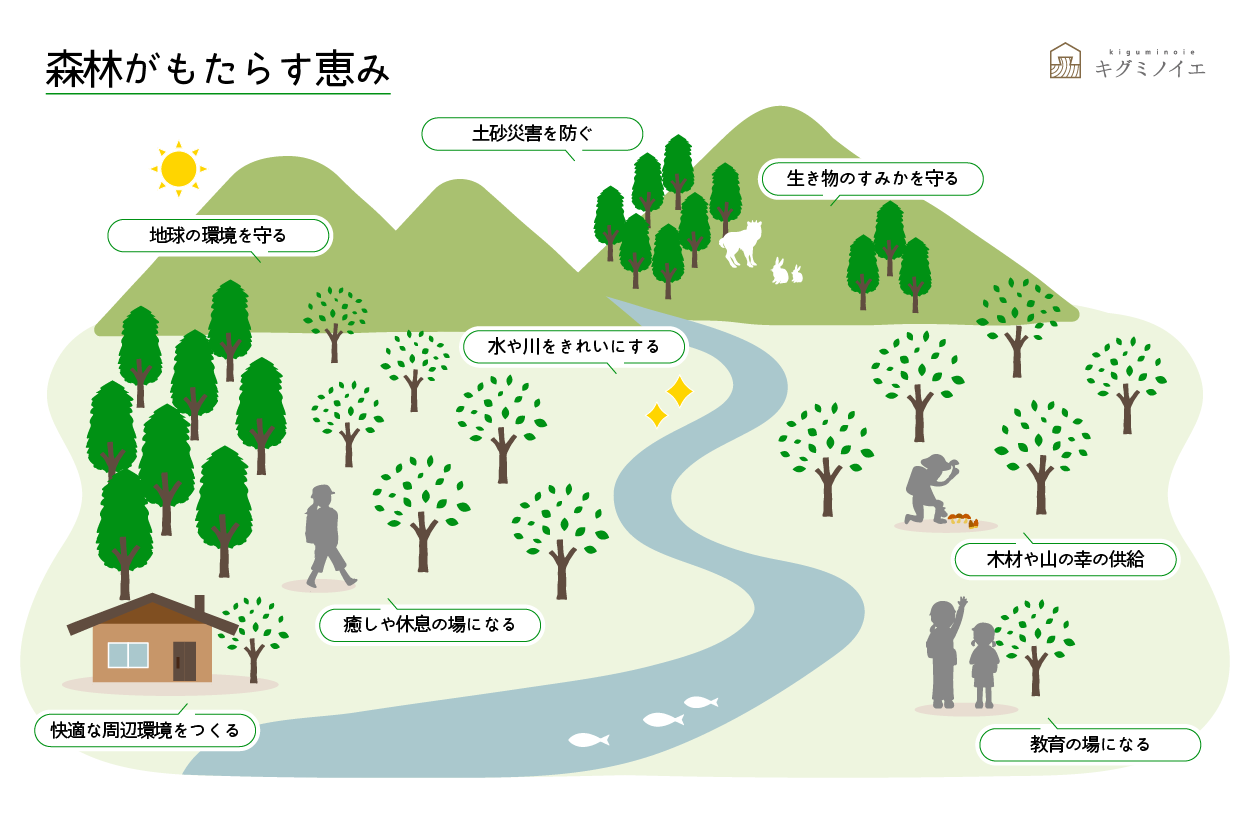 木育から考える森林のこと 森林がもたらすさまざまな機能について キグミノイエ 長野県東御市 伝統工法木組みの家