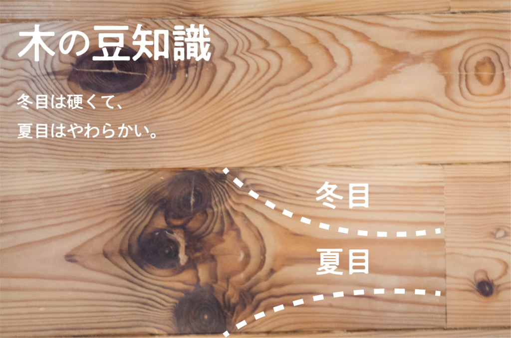 冬目と夏目